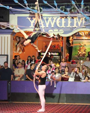 Circus Lena event