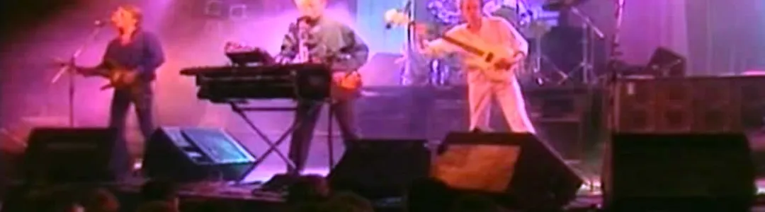 A Flock of Seagulls