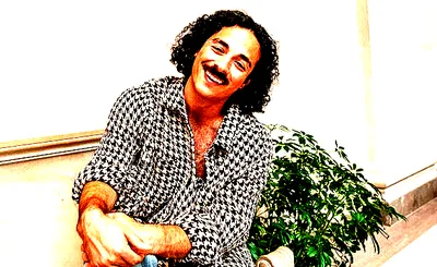 Anees - Artist