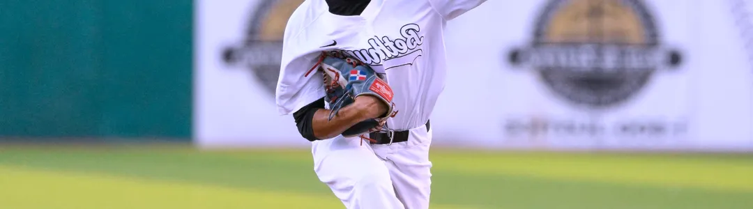 Bethune-Cookman Wildcats Baseball