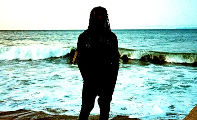 Chris Travis