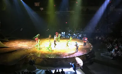 Cirque du Soleil - Ovo