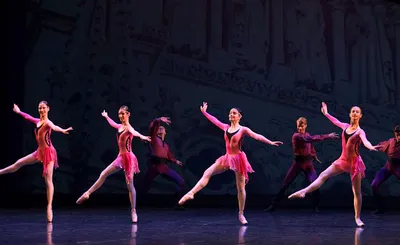 International Ballet Stars