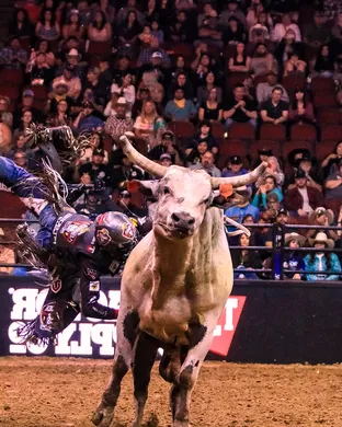 PBR: Teams Series