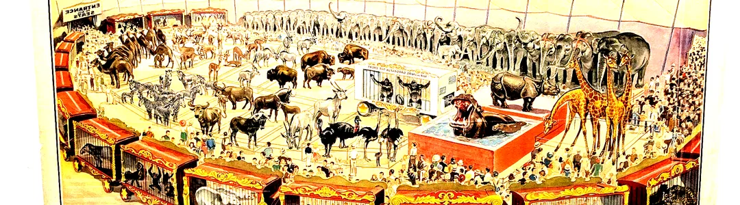 Ringling Bros. and Barnum & Bailey Circus