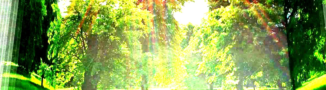 Royal Philharmonic Orchestra