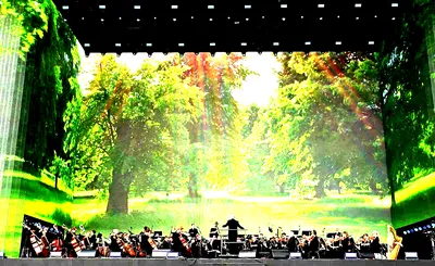 Royal Philharmonic Orchestra