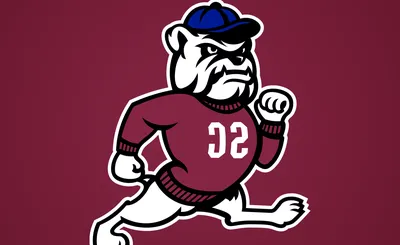 South Carolina State Bulldogs