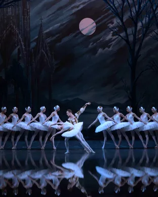 Swan Lake - Symphony of Lights