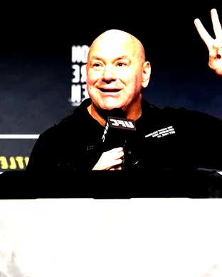 UFC 327: Prochazka vs. Ulberg sports event