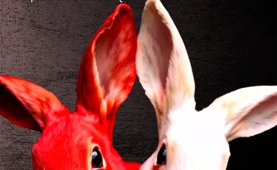 White Rabbit Red Rabbit