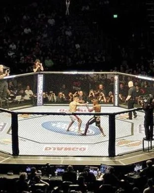 Black Belt Spectacular